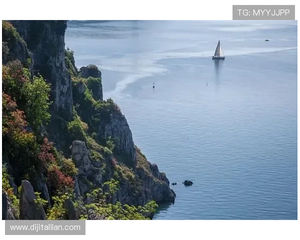 如何快速实现J9九游手机登录流程详解新手必看指南 如何快速实现J9九游手机登录流程详解新手必看指南